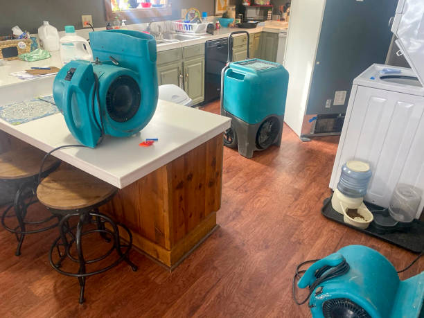 Best 24/7 water damage repair  in Blue Grass, IA