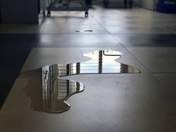Best Carpet water damage restoration  in Blue Grass, IA