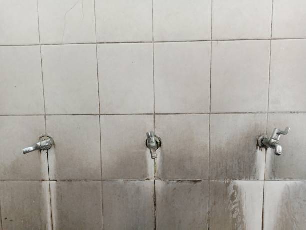 Best Local water damage restoration  in Blue Grass, IA