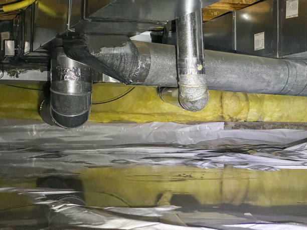 Best Water damage restoration services  in Blue Grass, IA