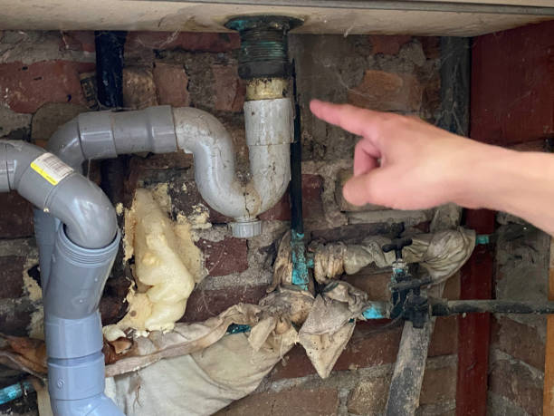 Best Emergency water damage restoration  in Blue Grass, IA