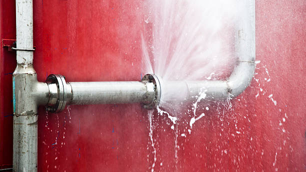 Best Water damage restoration process  in Blue Grass, IA